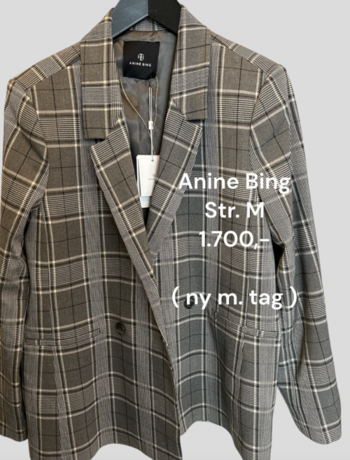 Anine Bing